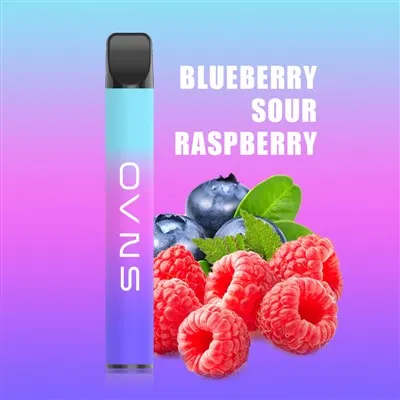 Disposable Electronic Cigarette
